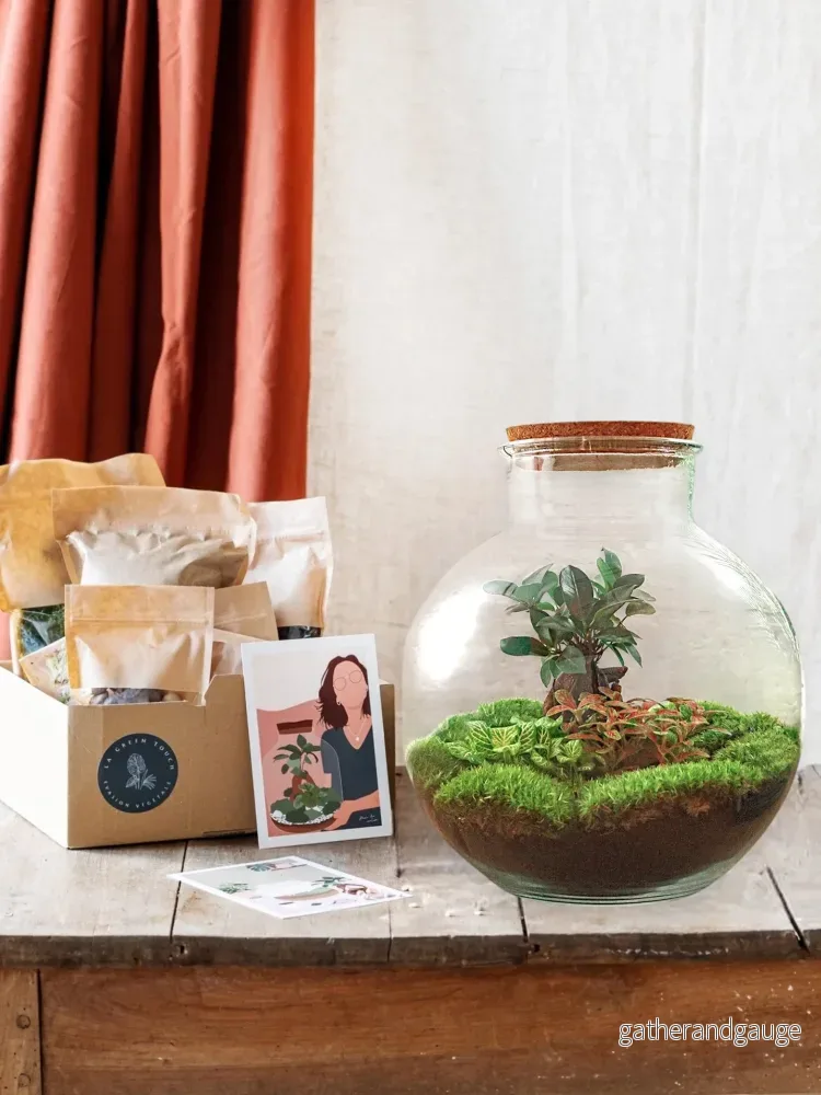 DIY Terrarium Kit – BAOBAB DIY Terrarium Kit – BAOBAB