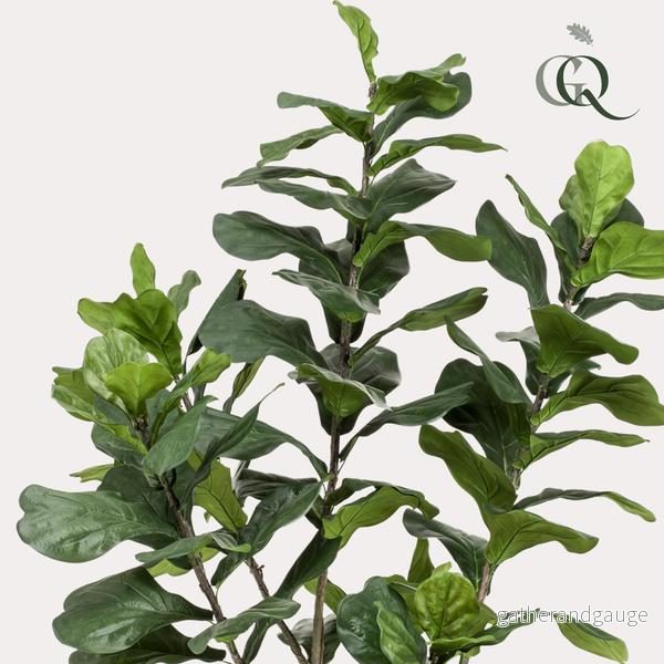 Konstplanta - Ficus Lyrata - Tabaksplanta - 210 cm - Bild 2