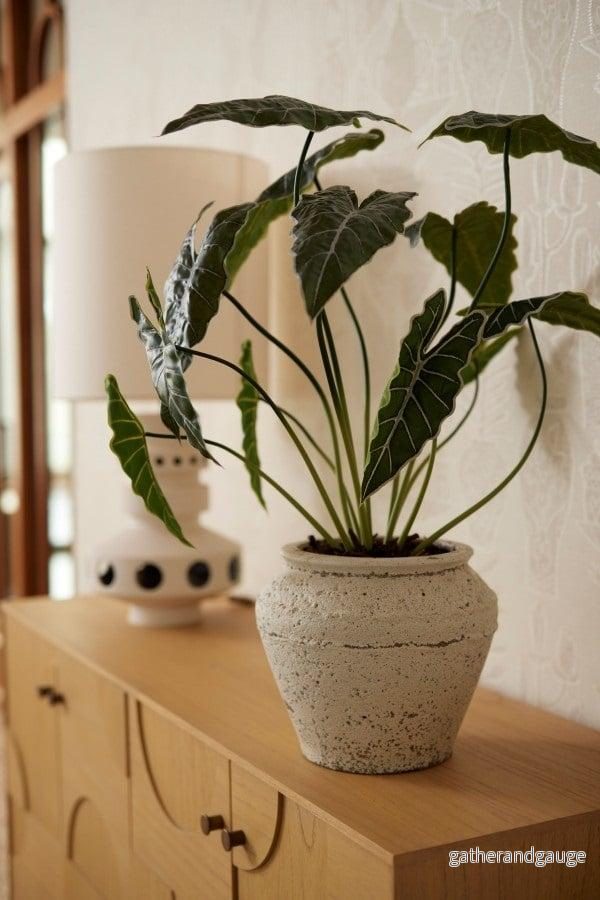 Alocasia artificiel h80cm