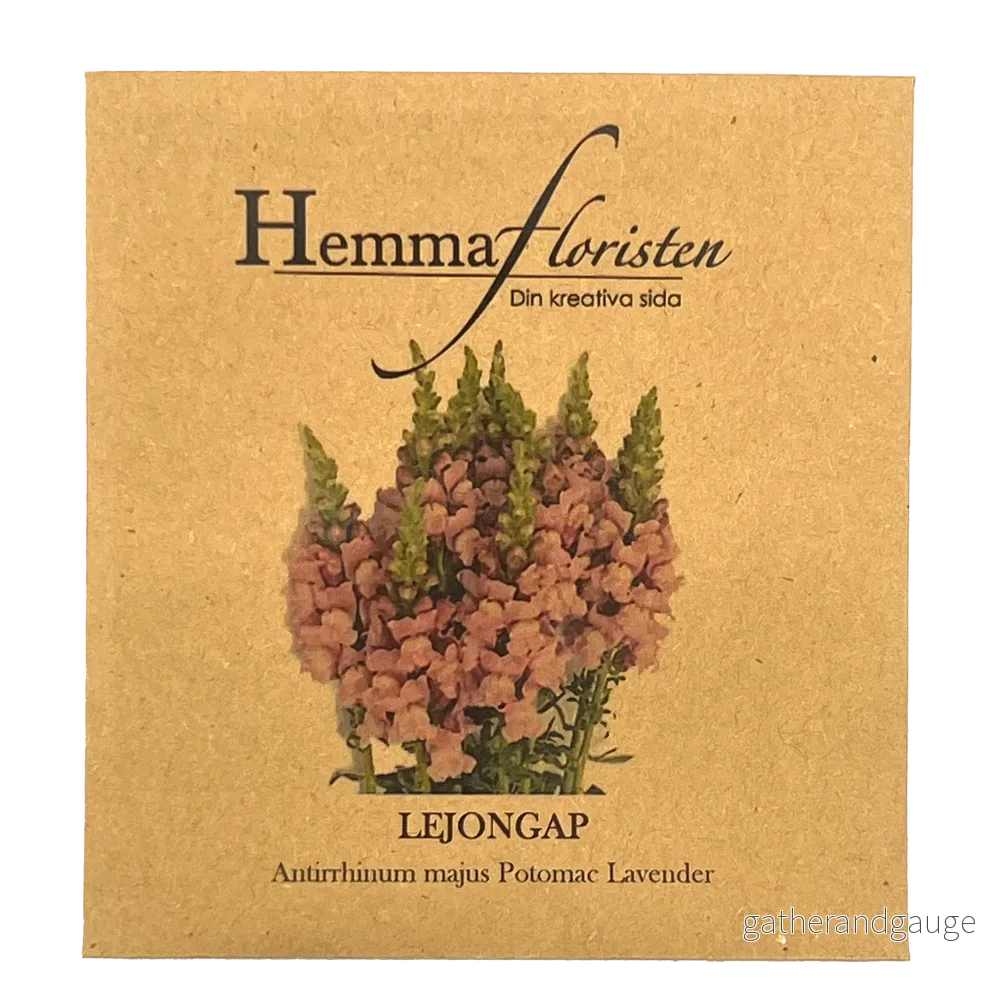 Lejongap – Potomac Lavender