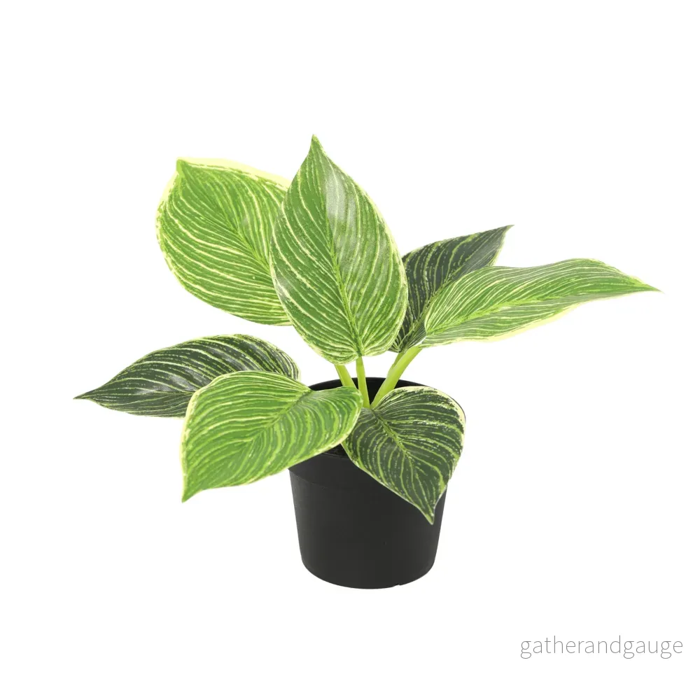 ARTIFICIAL Philodendron birkin – 20cm ARTIFICIAL Philodendron birkin – 20cm