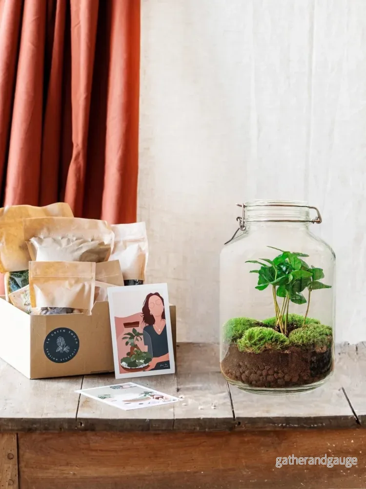 DIY terrariumkit – OSLO DIY terrariumkit – OSLO