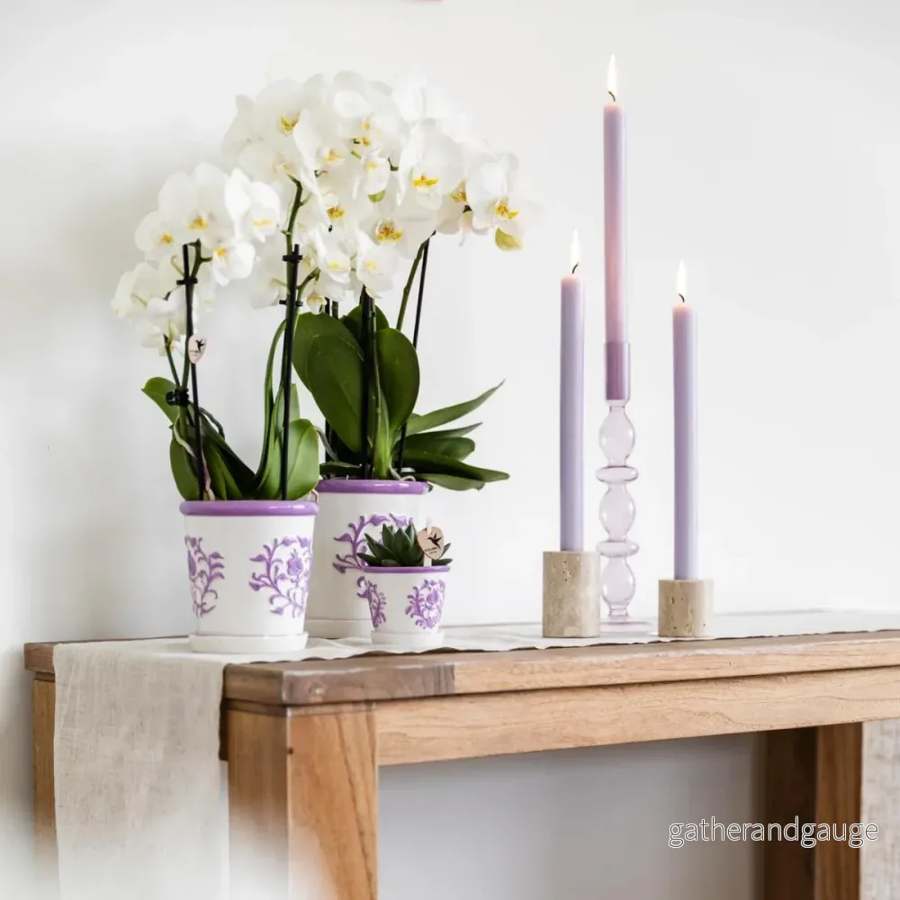 Sierpot Malaga Lilac - Bild 2