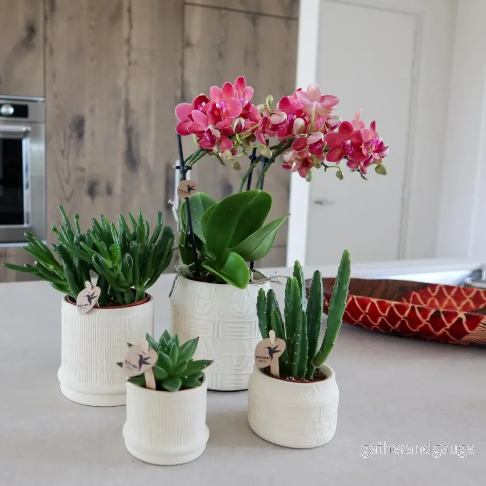 Bali Pot - Off White - Bild 2