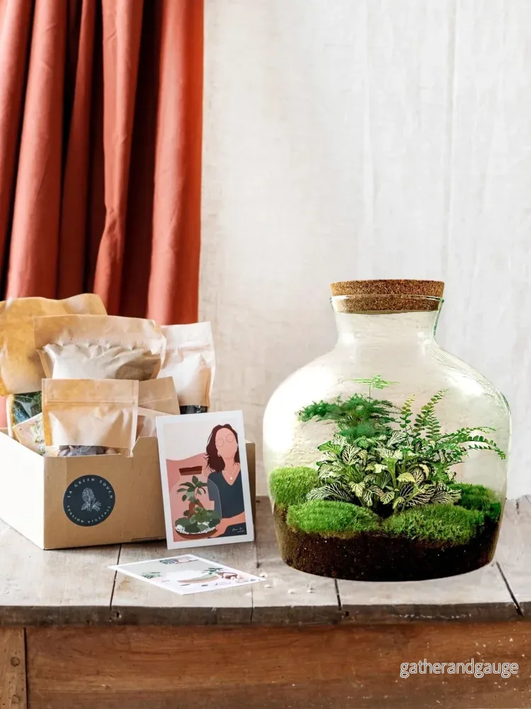 DIY Terrarium Kit – JOY DIY Terrarium Kit – JOY