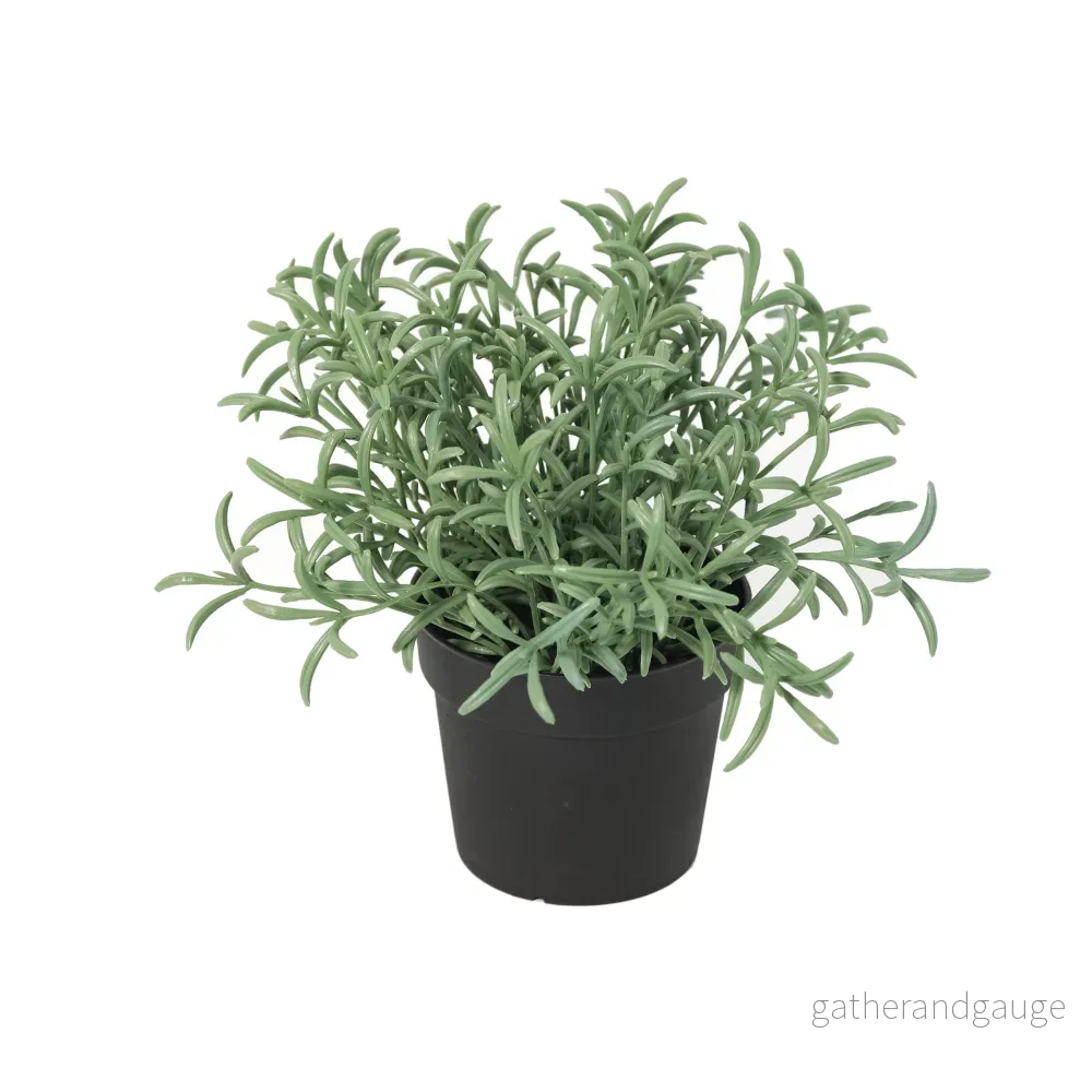 ARTIFICIAL Helichrysum italicum – 18cm ARTIFICIAL Helichrysum italicum – 18cm