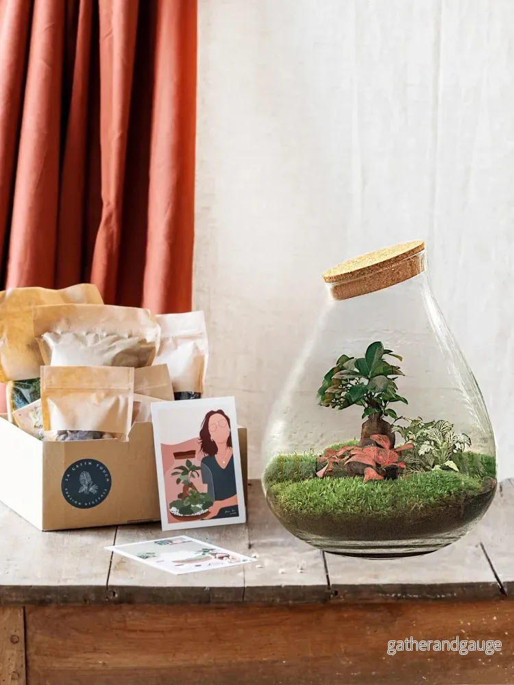 DIY Terrarium Kit – DOORN DIY Terrarium Kit – DOORN