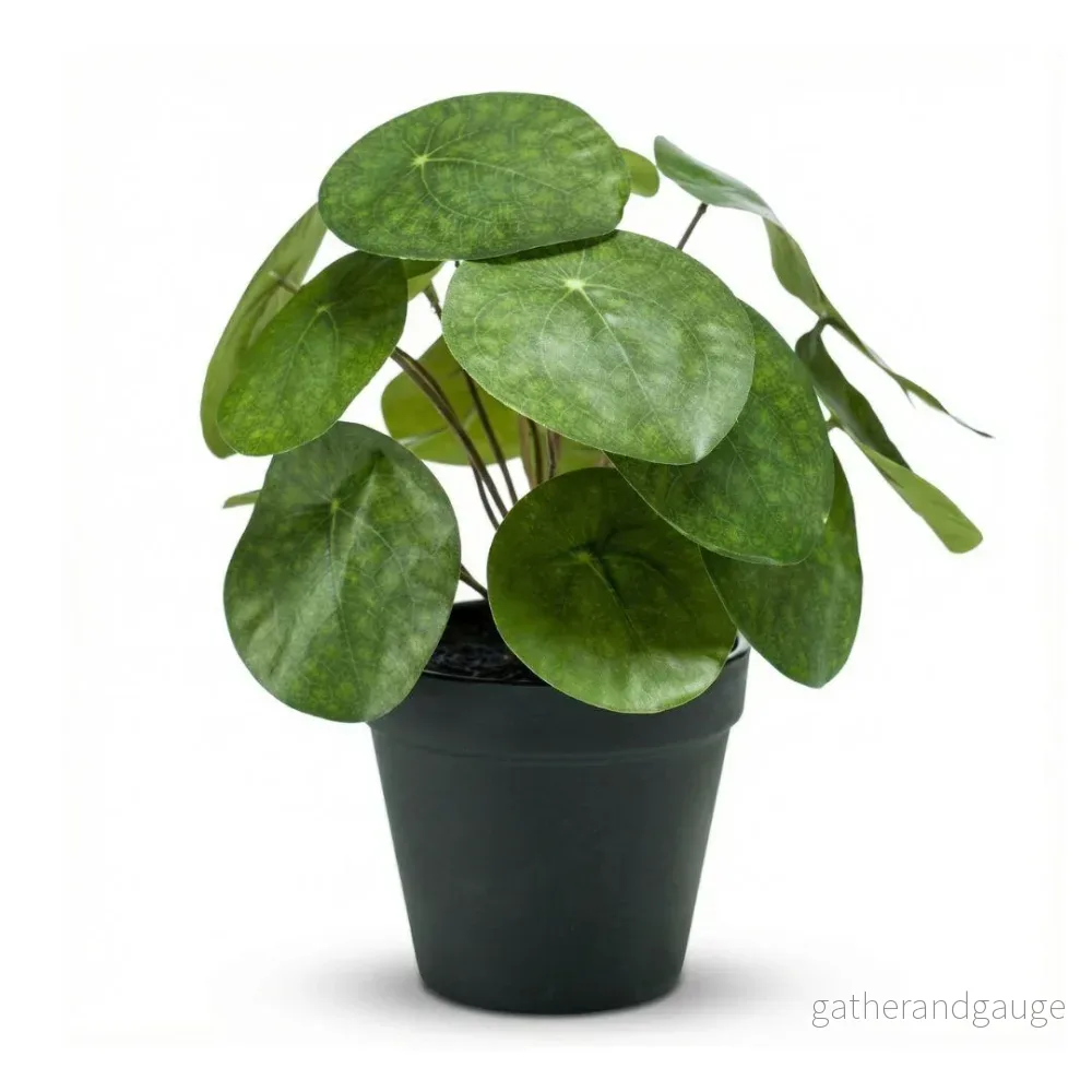 Pilea artificiel h25cm kruka inkluderad - Bild 3