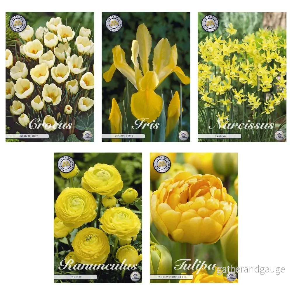 Blandning av lökar (krokus, iris, påskliljor, ranunculus, tulpaner) – 62 enheter Blandning av lökar (krokus, iris, påskliljor, ranunculus, tulpaner) – 62 enheter