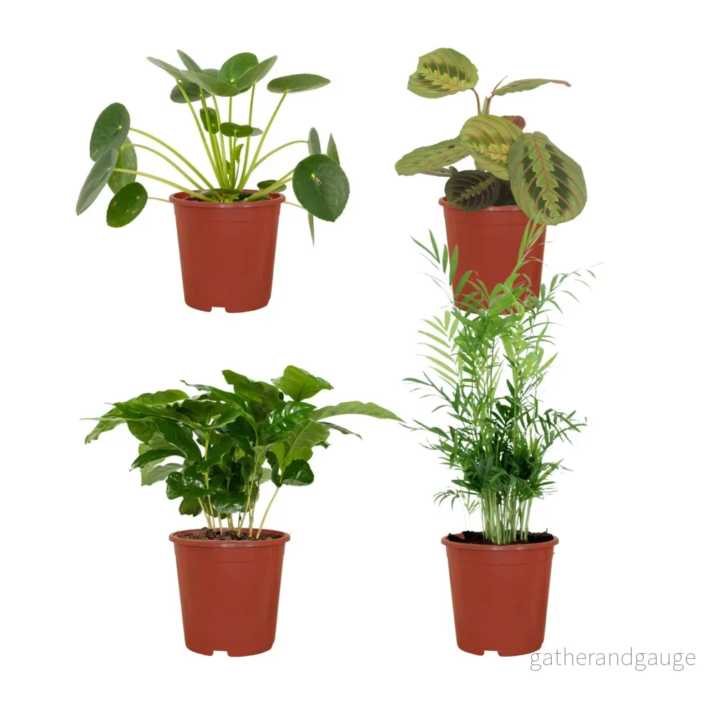 Djurvänlig växtlåda - Set med 4 plantor - Bild 2