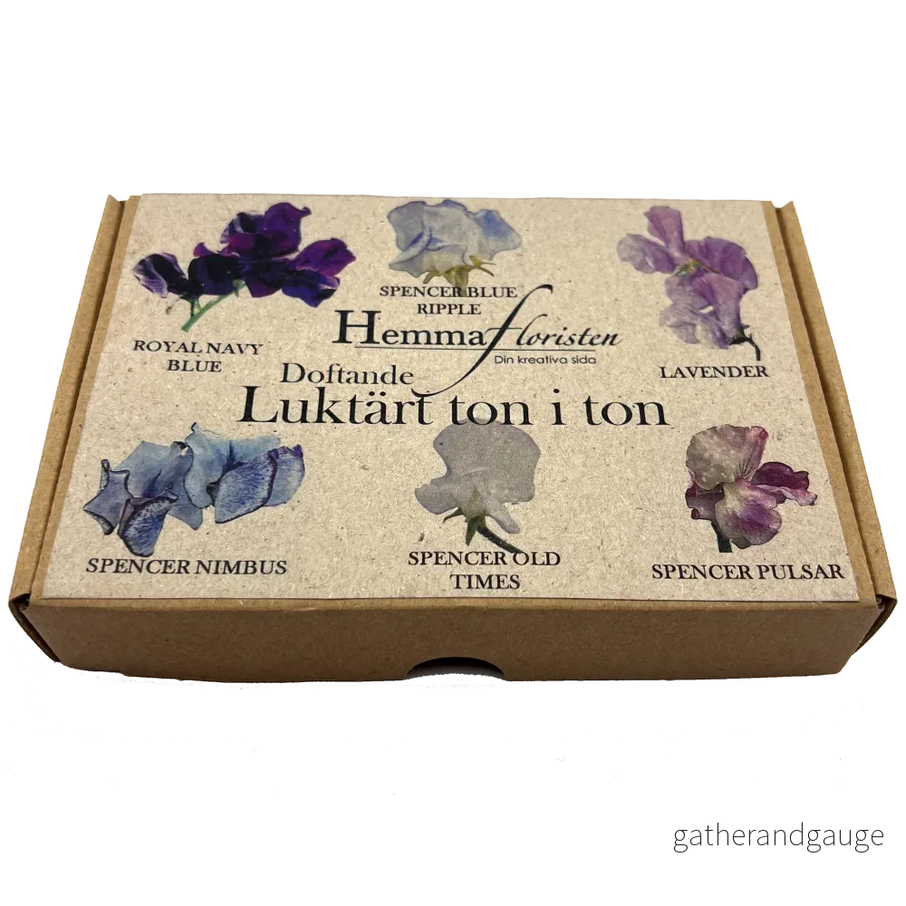 Fröbox Luktärt ton i ton