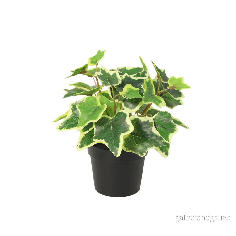 ARTIFICIAL White Ivy – 19cm ARTIFICIAL White Ivy – 19cm