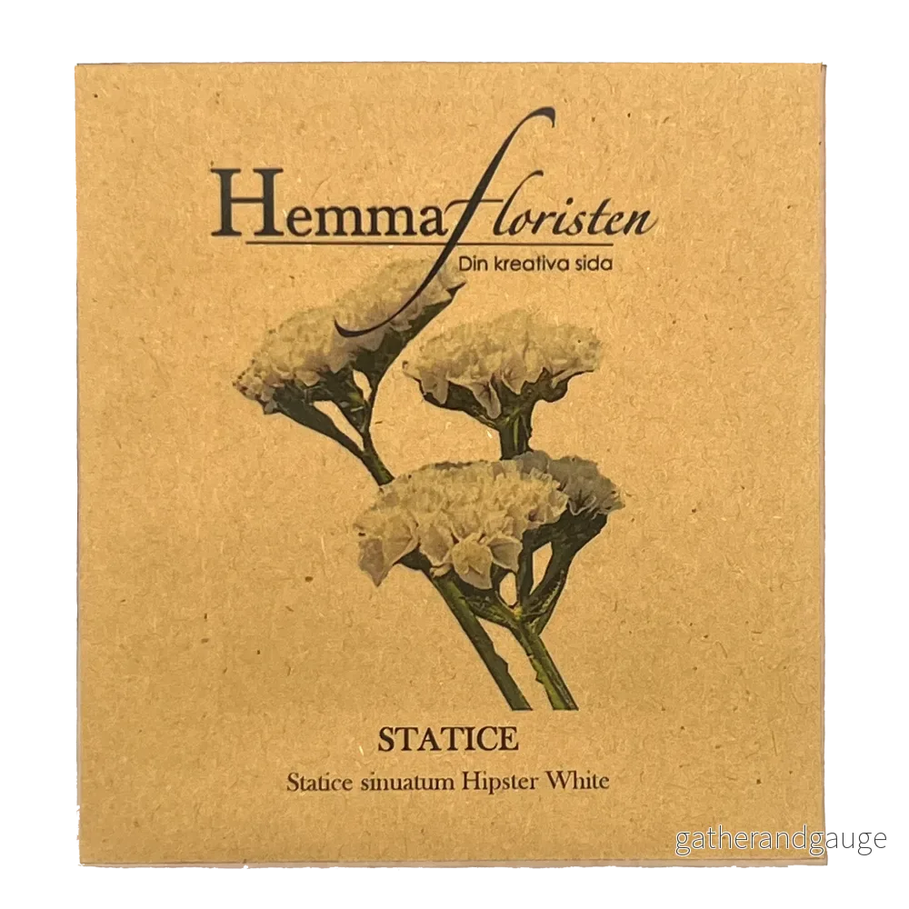 Statice Hipster White
