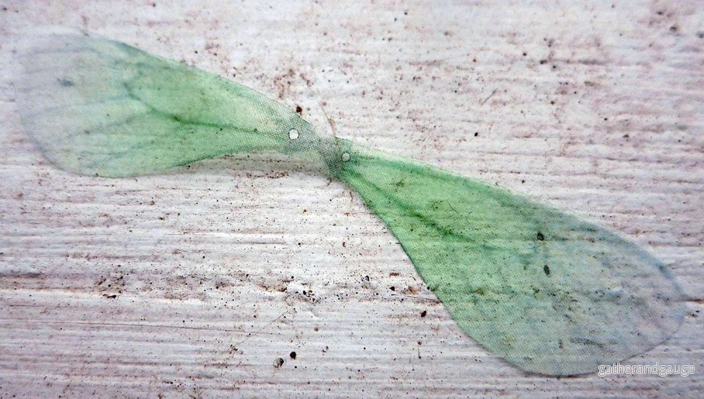 Fjärilsvinge Organza - Grön 1 styck - Bild 2