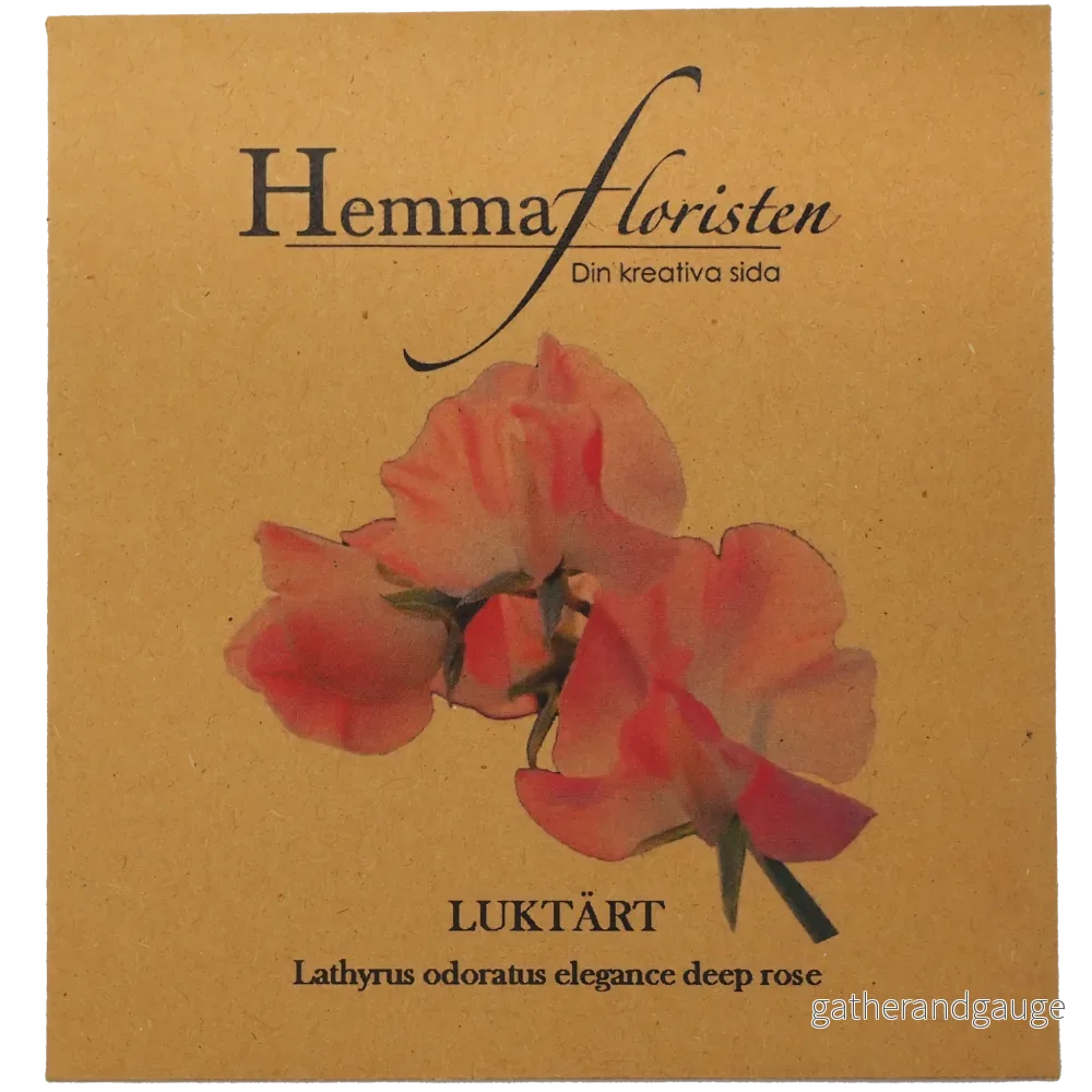 Luktärt - Elegance deep rose - Bild 2