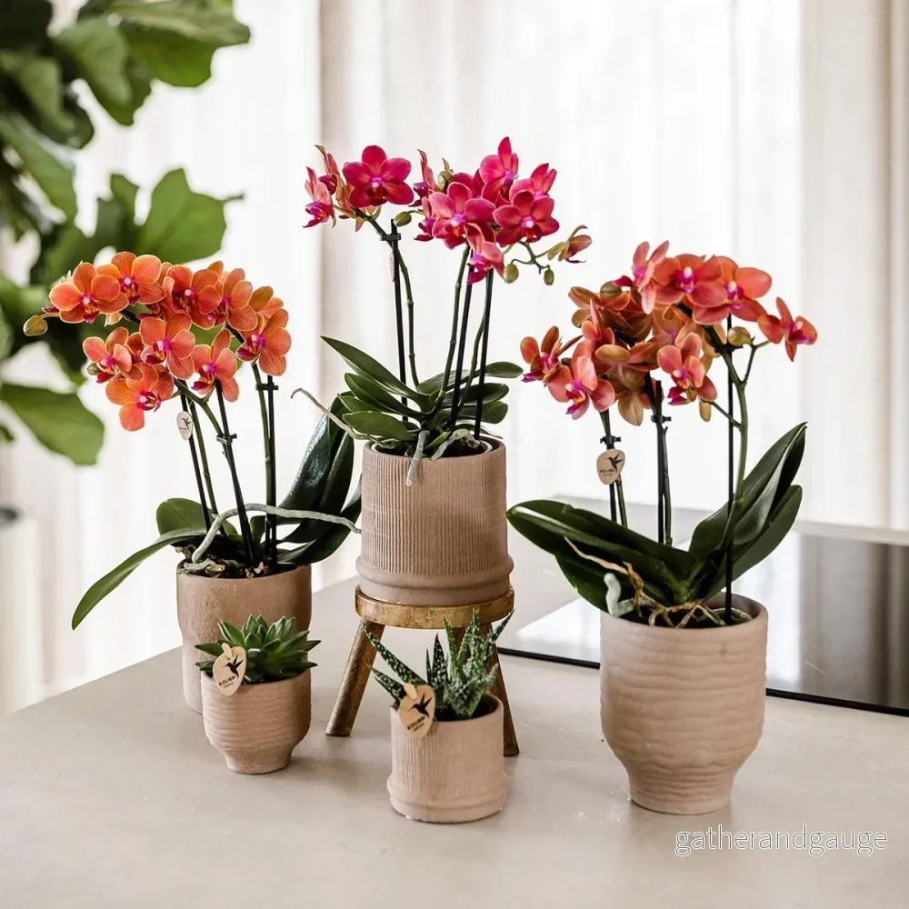 Bali Pot - Sand - Elegant eklekticism - Bild 2